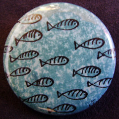 Badge Poisson Banc à rayures