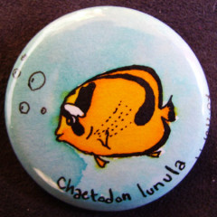 Badge Poisson Papillon-Chaetodon Lunula