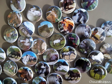 Badges-Personnalisés-Automne-des-Crinières-Blanches-Vieux-Chevaux-Landes-Retraite-Ferme-Equestre-Long.jpg